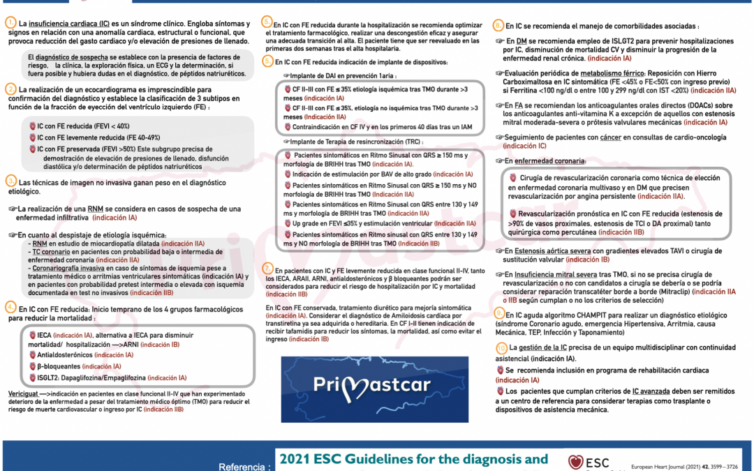 DECÁLOGO IC PRIMASTCAR